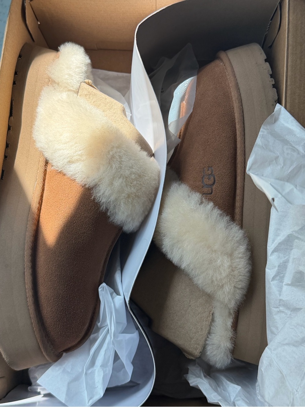 UGG Chestnut disquette